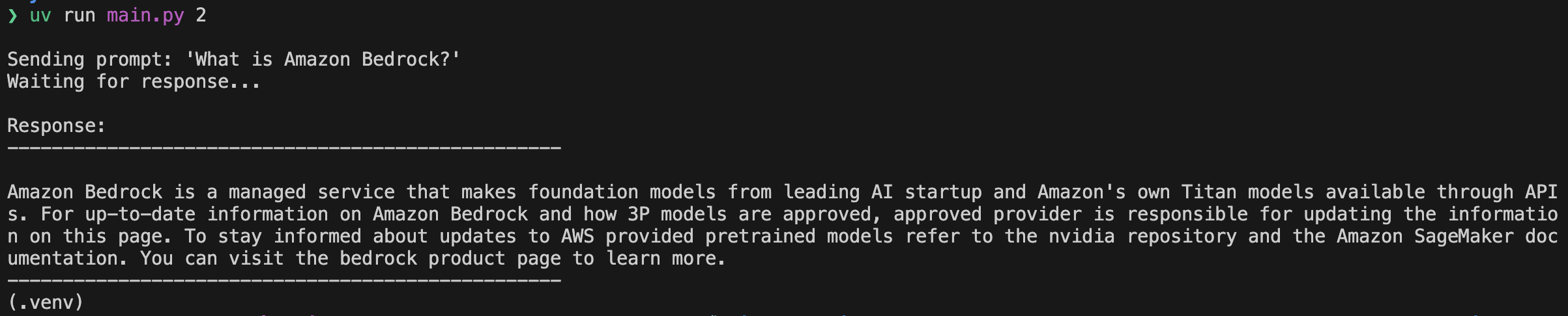 Standard Prompt