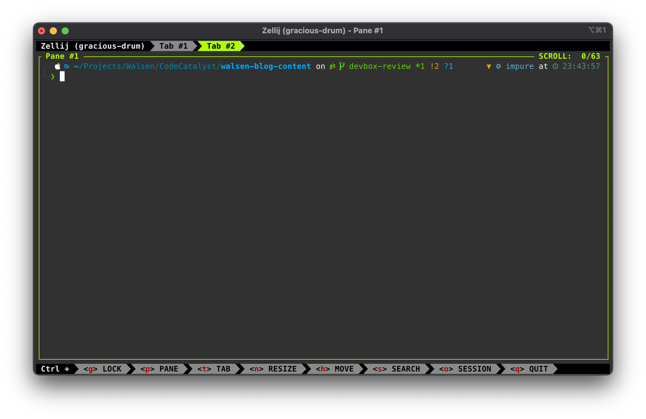 Development Shell